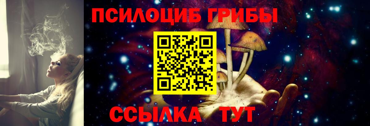Асбест  Галлюциногенные грибы Psilocybine cubensis  Вход с VPN 